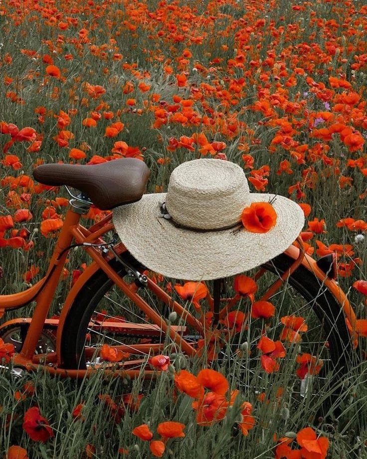rs_artecasa's tweet photo. Thursday 🌹
#Morning 
3 Sep-26 https://t.co/PD6Dn27uZj