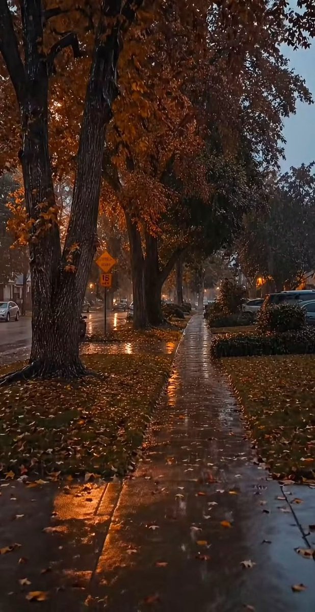 EarthBeautyyyy's tweet photo. Is it autumn https://t.co/wLhBzEKBQn