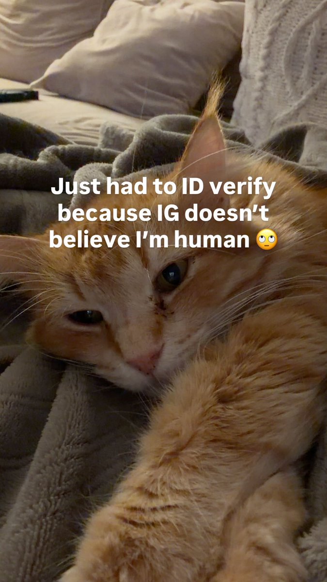 BroccoliBlyu's tweet photo. https://t.co/hdiENYlS3o
