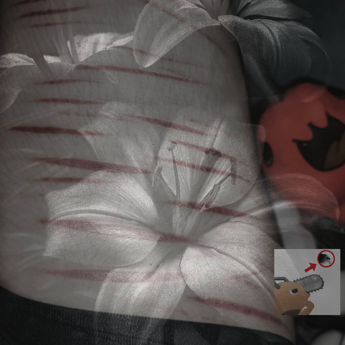 blckveiill's tweet photo. lo vuelvo a subir

Scar check!! (⁠･ั⁠ω⁠･ั⁠)
#shtwt #SFX #Allfake #IA https://t.co/SJIMQ8GrG2