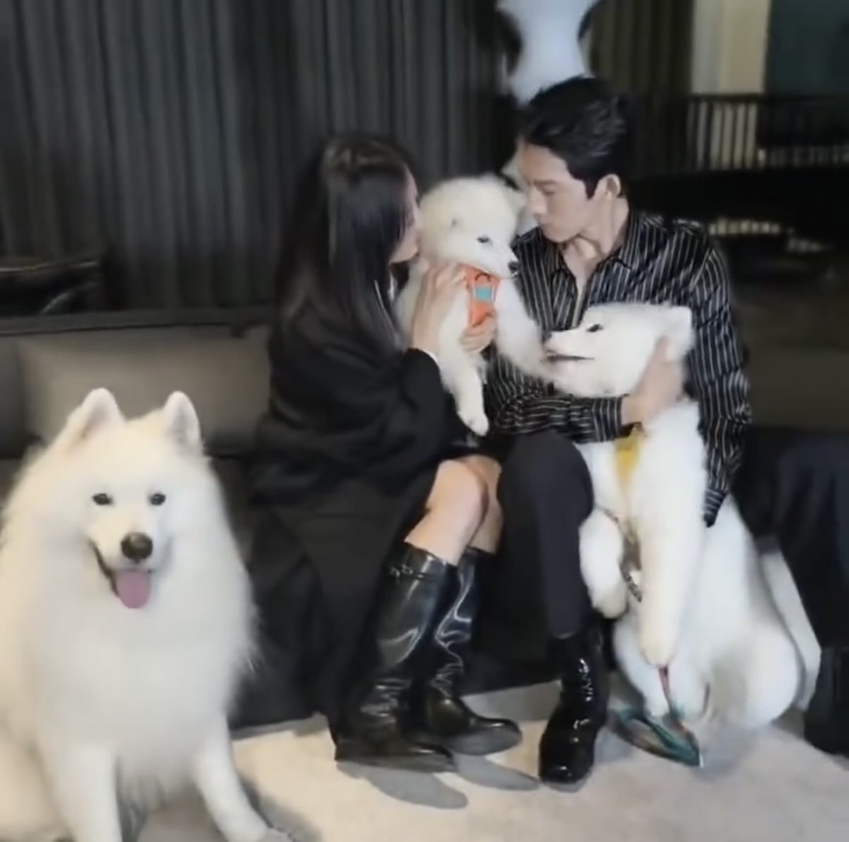 fatedlyx's tweet photo. THIS FAMILY https://t.co/XkJqfMZS3Y