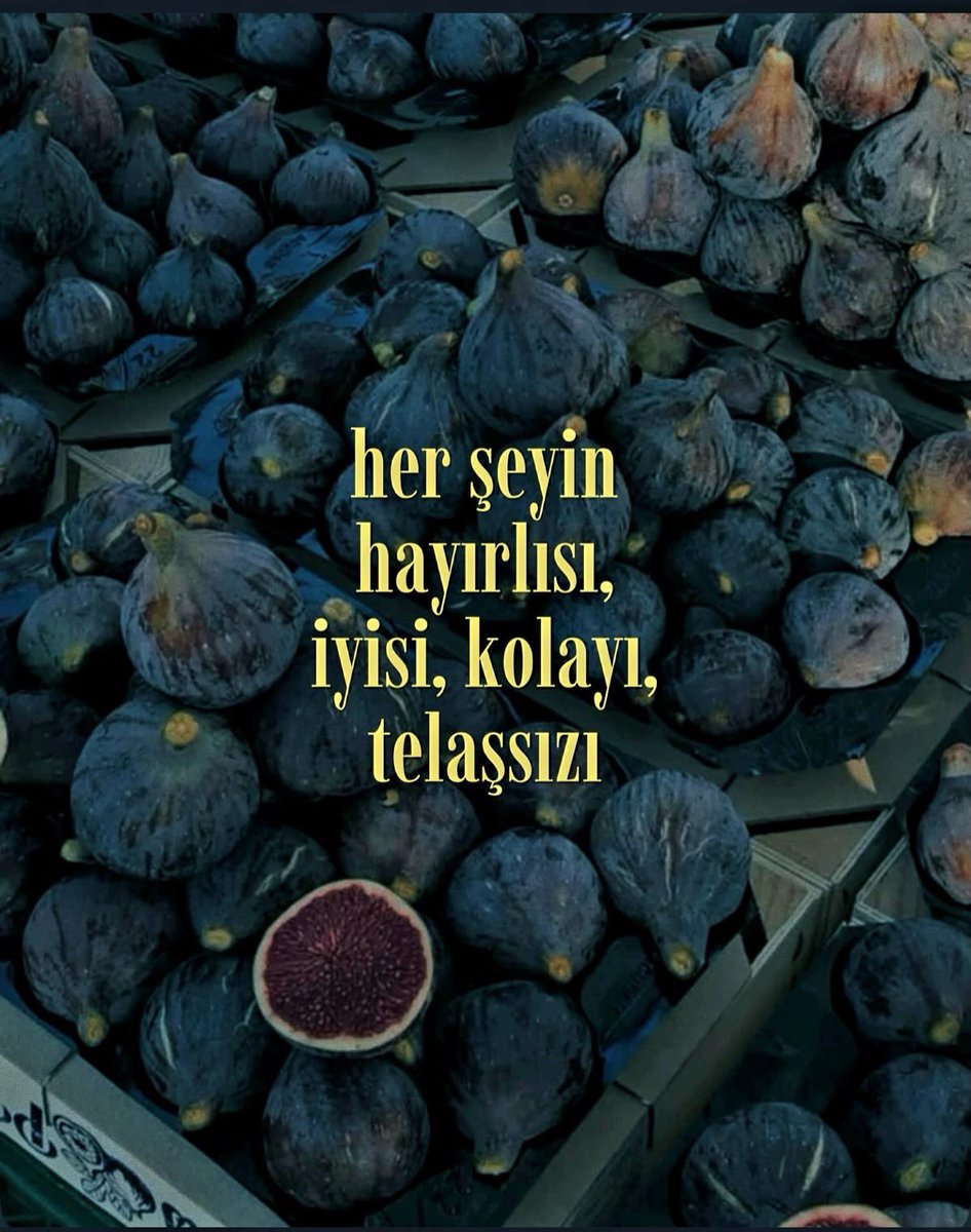sevgilikendin's tweet photo. 3 Eylül https://t.co/G7FK6Euw5o