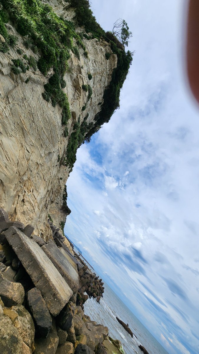 disconnect000's tweet photo. 八幡岬
つげ義春
#岡山サポ千葉遠征 https://t.co/B3tDluAO9E