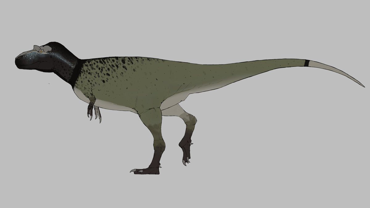 Mensis____'s tweet photo. Gorgosaurus https://t.co/Sx4ooWQGCK