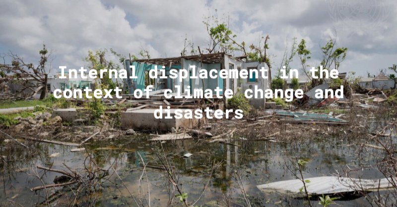KaldorCentre's tweet photo. #Climate change is already displacing millions of people, most within their own countries. Elizabeth Ferris reflects on a decade of progress on internal displacement, and why today's funding crisis threatens hard-won gains: https://t.co/JuuprAGRlw https://t.co/tLyOEgh9T3