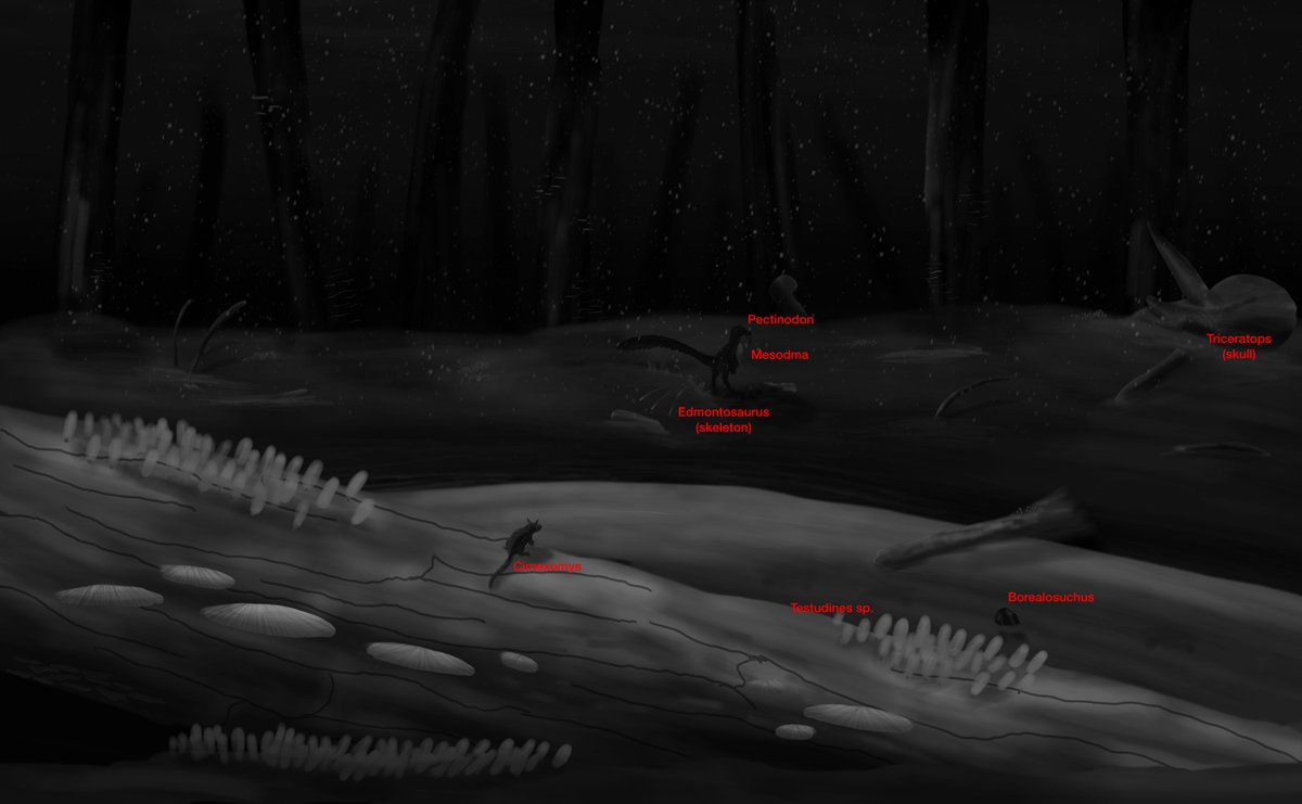 Cleanlymoss1's tweet photo. Freezing temperatures are global and the world is still. In Hell Creek, grey snow falls to the ground. The skeleton of the once titanic red wood trees loom into the distance, with wind howling around the trunks. Before us the most common organisms we see are fungus. https://t.co/5O9v6mnsmj