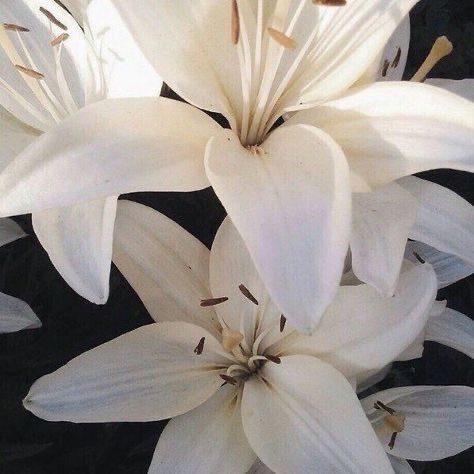 ursmiine's tweet photo. . 
་  ♡  ⋆  　　.    　　
  　 + .  ˚ . 　  .  .  
　　　　　　　　 ་ .  　　　 　　　　　 
 ₊　　 . 　　　　♡ 　　·   .  
　 　　 　　　　 ·  ་ .  + 　　 
 　 　　　　+                       b-day #love https://t.co/DbAO61iBQx