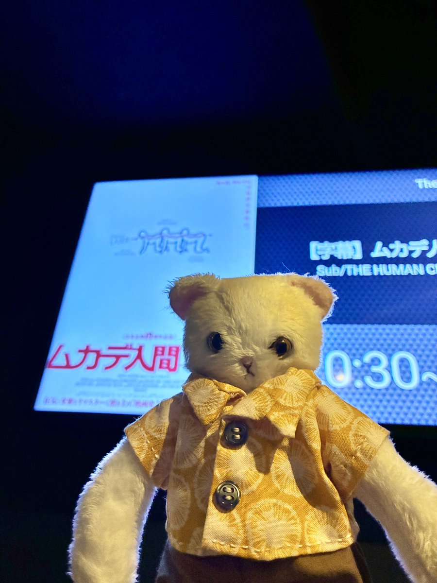 MAzikyou's tweet photo. 昨日の夜にムカデ人間見た。
大きいスクリーンでハイター博士とカツローを見れて良かった
#ぬい撮り https://t.co/I9qwlHDABe