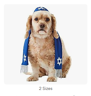 gaelletas's tweet photo. should pronouny be an israeli for halloween https://t.co/moKn7Po74d