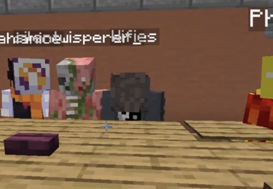 filletfritter's tweet photo. big fan of the way wifies makes his minecraft character fully conk the fuck out when he goes afk https://t.co/m0UidjiH9e