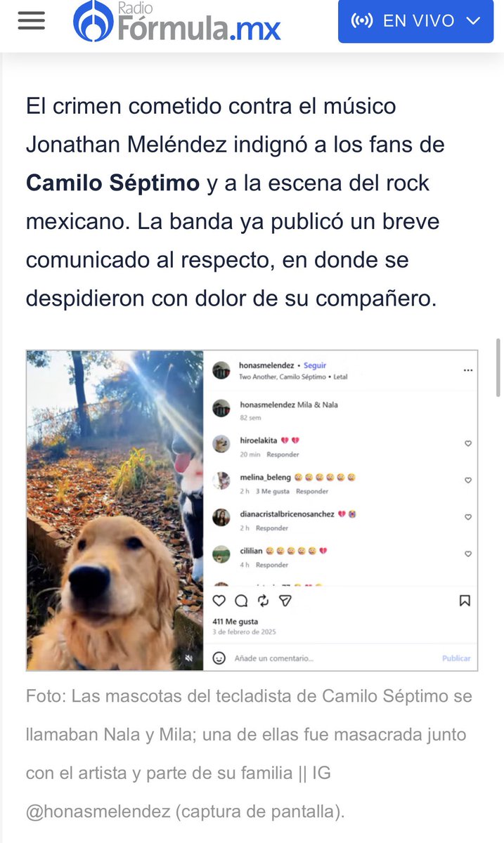 Plu2Desampara2's tweet photo. Los peludos del tecladista de Camilo Séptimo se llamaban Nala y Mila; una de ellas fue masacrada junto
con el artista y parte de su familia 🥺 

 https://t.co/IBz6HOaIRY https://t.co/R8iYguK7Cg