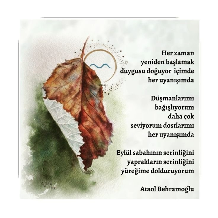 asunel1's tweet photo. Günaydın yeni gün
Sevgimle... https://t.co/aR3AEUTdu1