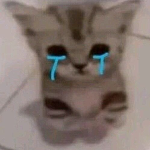 kittimp_VT's tweet photo. sometimes I think people forget im an 18+ creator because im semi-lewd…. id appreciate not to be judged for it sobsob https://t.co/ixxqFik8jD