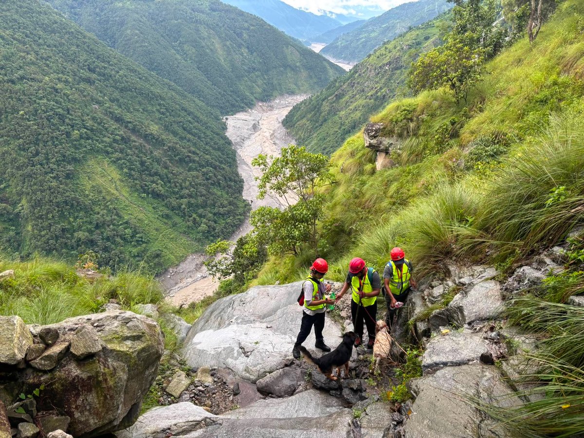 sardogsnepal's tweet photo. Update: The team is starting now from Dandagaun towards Sallehtar. Bikash, Rajan, Laxman, Bikram are with K9 Jirey and Roger. Suman Tamang, the local guide, is with them. #rasuwaflood #sarmission #flashflood #nepaldisaster https://t.co/i02qFQ7DPy