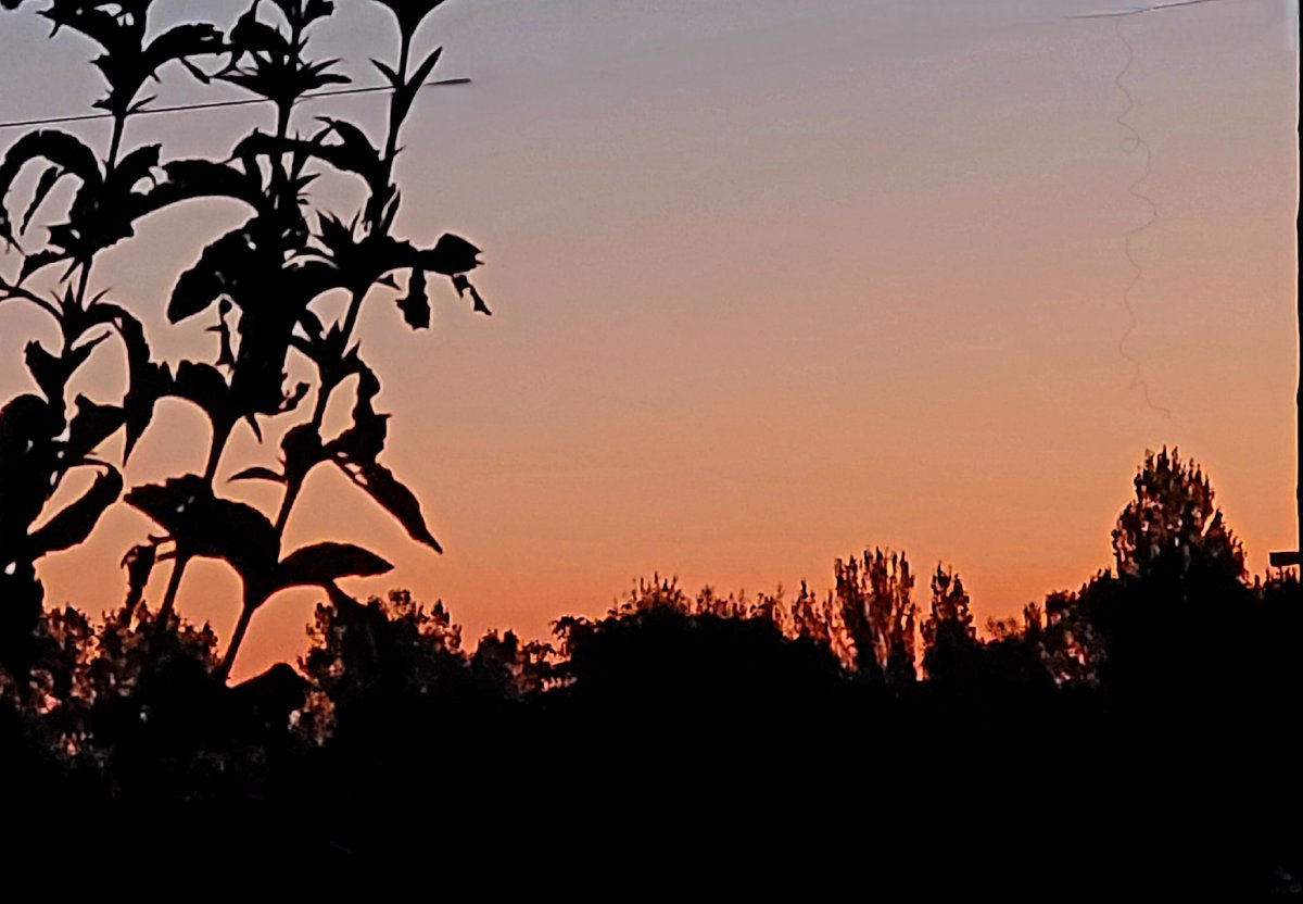 paquisoldado's tweet photo. #Bondia des de #Tona dijous desperta sense canvis, cel clar i 16°C 
@SoldadoTonyi @rosa_tanti  @SoniaPapell @eltemps_rtve  @SergiLoras @alcantara_alb
@rbartolisala @TomasMolinaB 
@Monica_Usart  @meteorac1 @gemmapuigf @tempsdemeteo @3CatInfoelTemps https://t.co/NsPWNhNmpe