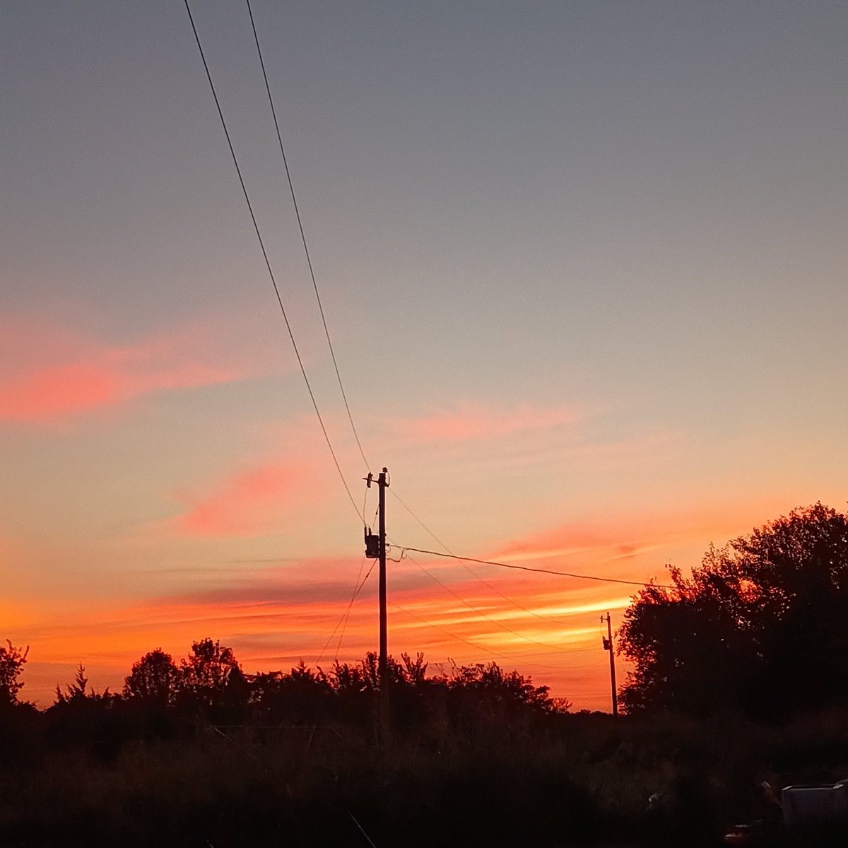 BattleKitten02's tweet photo. Sunrise https://t.co/XcEk7aaqu4