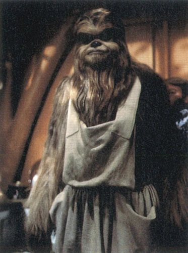 Chewbaci_'s tweet photo. #needthat https://t.co/W469wu3lTu