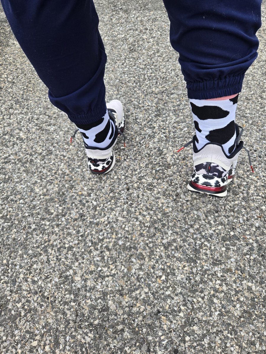 trudyspeaks's tweet photo. 👟: Nike Pegasus Premium 'Cow Print'
🧦: Novelty
.
.
.
#kotd #nike #snkrskickcheck #femalesneakerhead #unds https://t.co/MHmJhvmkBU