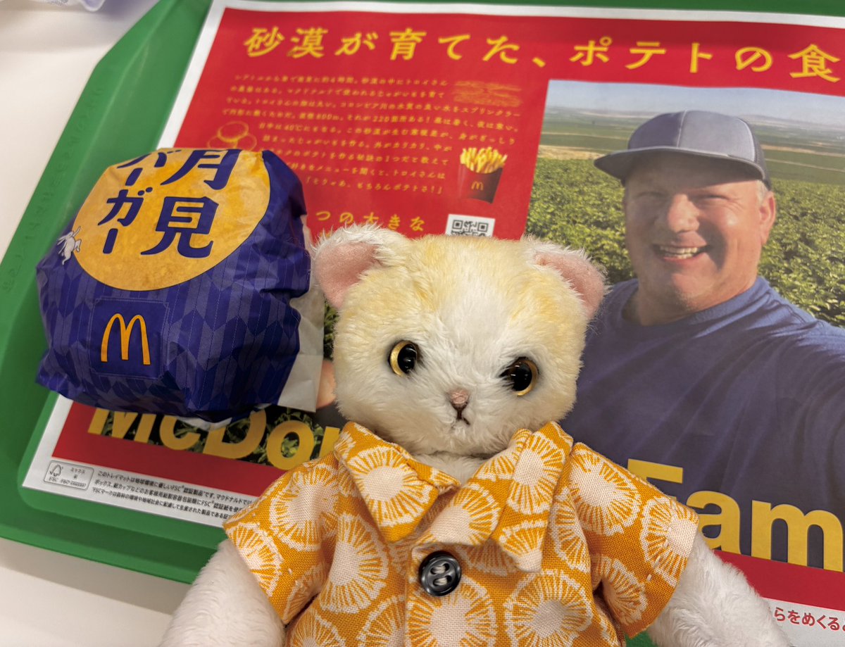 MAzikyou's tweet photo. 月見バーガーの季節
#ぬい撮り https://t.co/UebDqI83JC