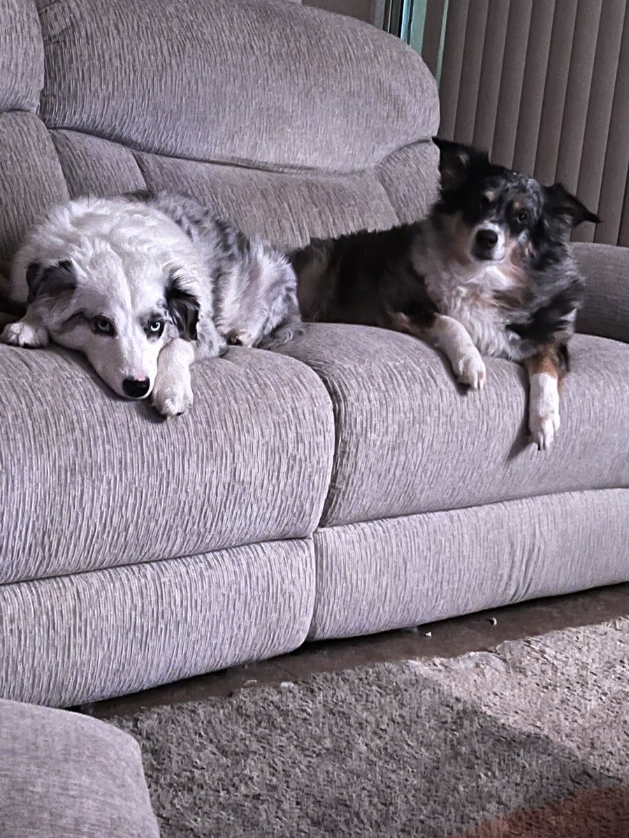SheriTango21's tweet photo. @MattPinner_ @Matt_Pinner my favorite family members! lol https://t.co/CL1Dc6jeUf