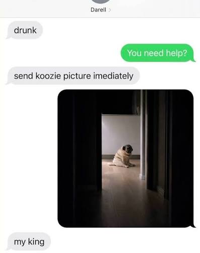 r4t1cky's tweet photo. It sounded better in my head, probably Bar Guy ain't a pet person xP #ninah #barguy #theprotagonist #naperdish https://t.co/KwTs5T5w1g