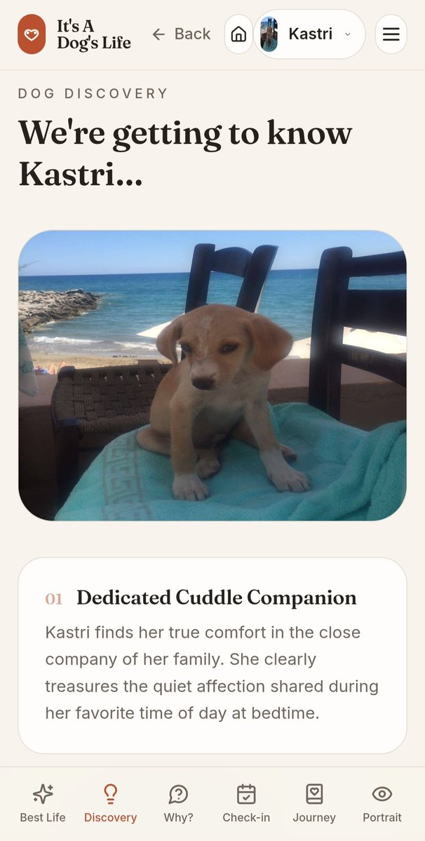 DogsLifeHQ's tweet photo. Attention Dog Owners.
This is amazing and FREE!
Get unique feedback on YOUR dog!

Just visit: https://t.co/nFpc9f2rXr

#ItsADogsLife #DogRescue #RescueDog #RescueDogs #DogLovers #DogOwners #DogLife #DogWellbeing #Crete #CreteGreece #Greece #GreekIslands #AdoptDontShop #RescueDog https://t.co/7a9fLhACiO