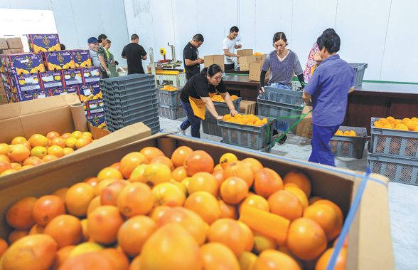 ChinaDaily's tweet photo. Egyptian experts expect China's zero-tariff policy for imports from 53 African countries that have diplomatic relations with #China, including #Egypt, to give a significant boost to Egyptian agricultural exports entering the Chinese market, particularly the country's high-quality products such as oranges and strawberries. #trade https://t.co/H4J6DX5NyP