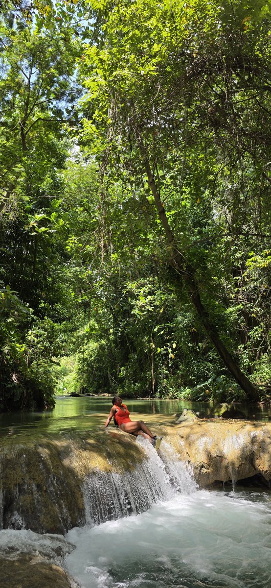 NaturesEscapes's tweet photo. St.Toolies, Clarendon Jamaica https://t.co/vDRgOJRVcD