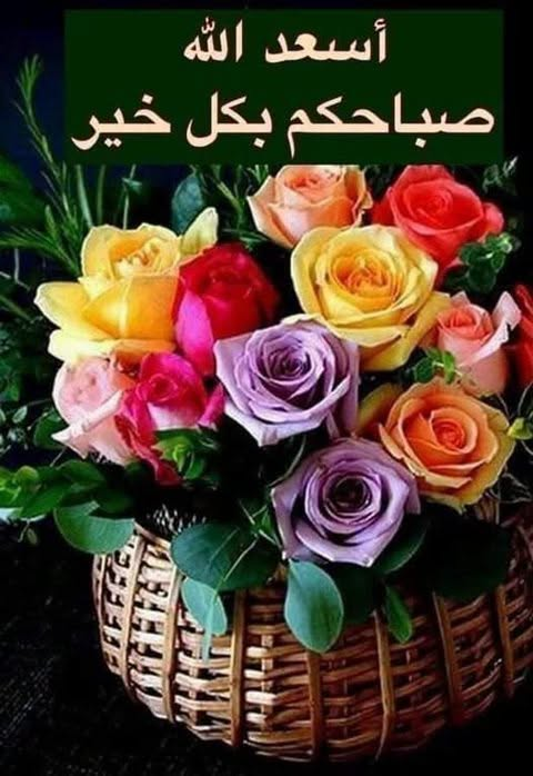 61Fikry's tweet photo. عندما يتحدث يوم الخميس عن نفسه يقول:
أنا فسحة الروح من ازدحام الأيام،
فلا تمر بي على عجل…
استمتع بي كما تحب، وامنح قلبك شيئا من الفرح؛ فالحياة لا تؤجل لحظاتها الجميلة، وبعض الفرح إن لم نعشه في وقته، لا يعود.
صباح الورد https://t.co/aQy1vWoauN