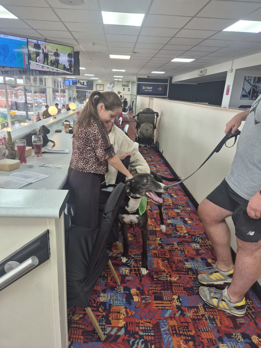NewcastleDogs's tweet photo. National Greyhound Week 2026 β
That's a wrap on the fourth annual celebration of National Greyhound Week π
If you enjoyed your trackside experience, we race every Friday and Saturday afternoon, plus Thursday nights.
TICKETS: https://t.co/cdqRfSx9My
#NewcastleDogs πΎ https://t.co/WkBYgwp9C9