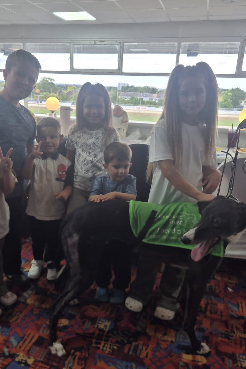 NewcastleDogs's tweet photo. National Greyhound Week 2026 β
That's a wrap on the fourth annual celebration of National Greyhound Week π
If you enjoyed your trackside experience, we race every Friday and Saturday afternoon, plus Thursday nights.
TICKETS: https://t.co/cdqRfSx9My
#NewcastleDogs πΎ https://t.co/WkBYgwp9C9