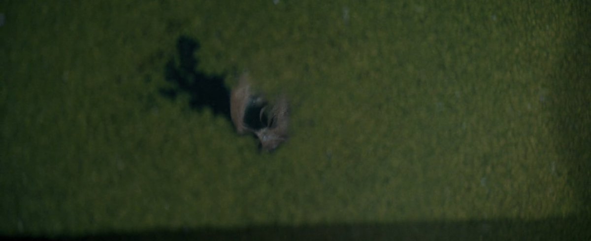 TH3LASTJED1's tweet photo. Thinking about the best film of the decade rn https://t.co/DgG0MfJVQi
