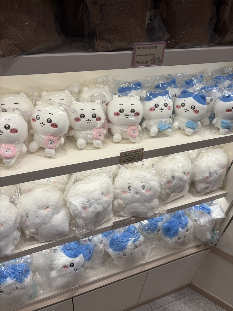 lolfunnyfish's tweet photo. Chiikawa store Seoul !!! https://t.co/eRGyD3dGGO