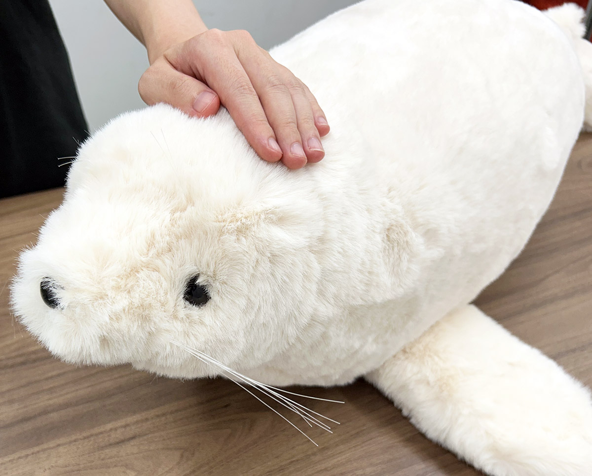 動物園＆水族館 ぬいぐるみ図鑑（三才ブックス） on X: 