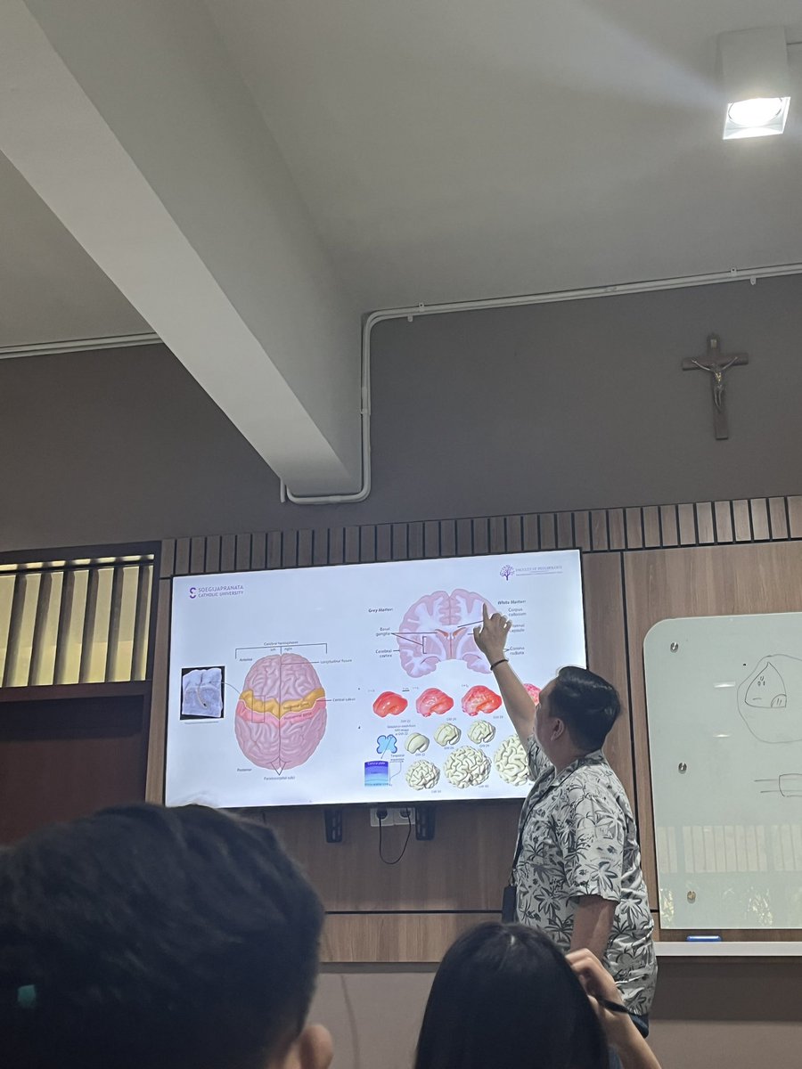 junthestud's tweet photo. neuropsychology https://t.co/RbfqTmNiek