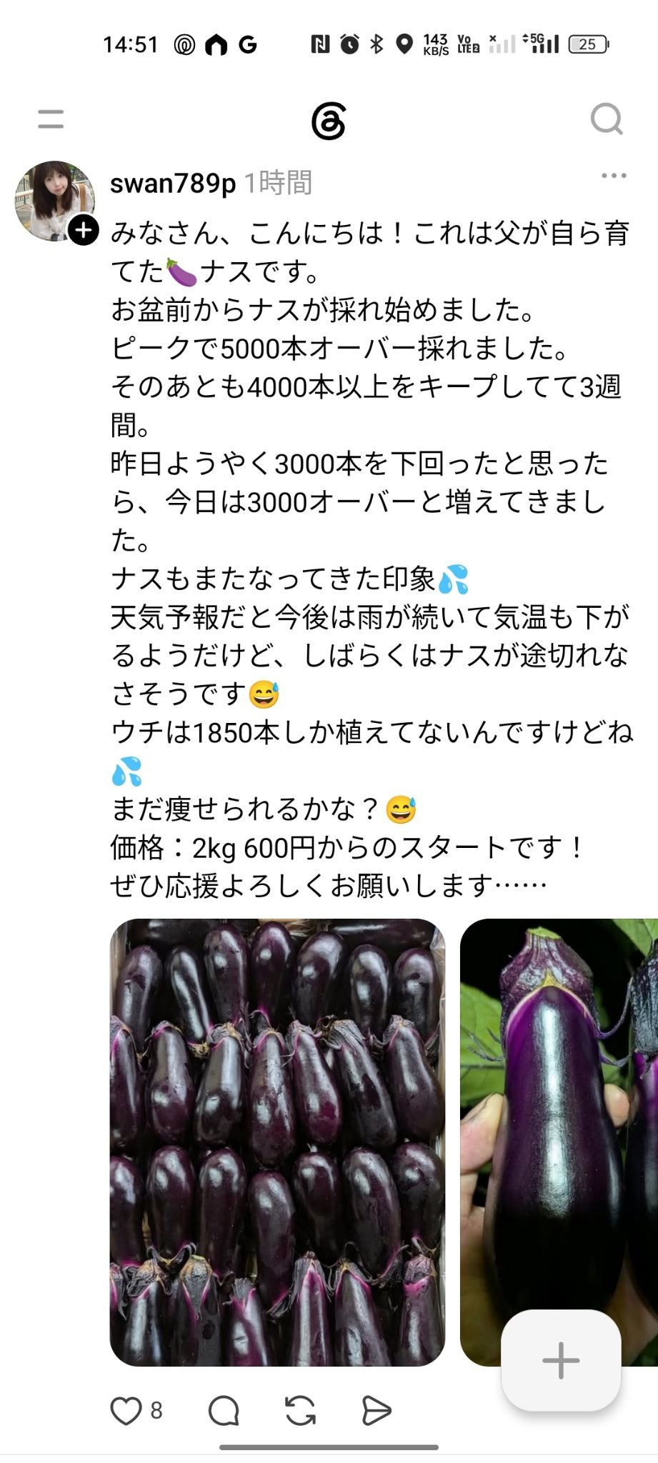ナス🍆のおじさん（おんだファーム） on X: 
