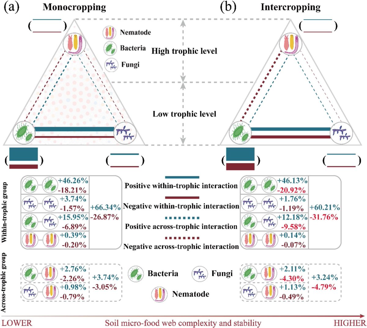 Geoderma_Jrnl's tweet photo. New in Geoderma: "Integration of intercropping with reduced N fertilization enhances soil micro-food web complexity and stability: Insights from soil biodiversity and multitrophic associations" by Lixiang Gao, Minghao Yang, Siwei Liang [...] Xiaoke Zhang. https://t.co/ERPIma1sN8 https://t.co/5cp4RbLPEy