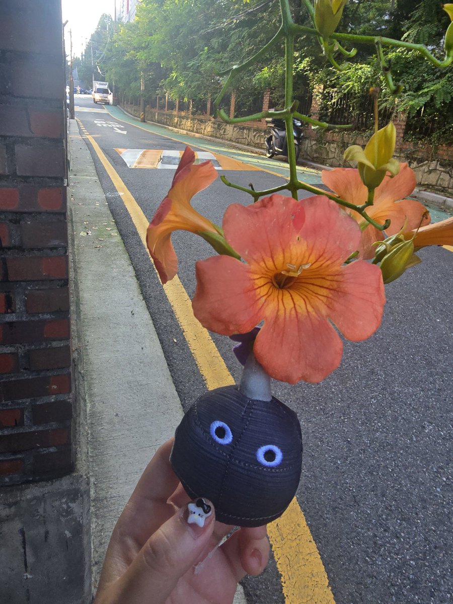 weedmasterlab's tweet photo. 능소화 https://t.co/oi4k5vGJtX