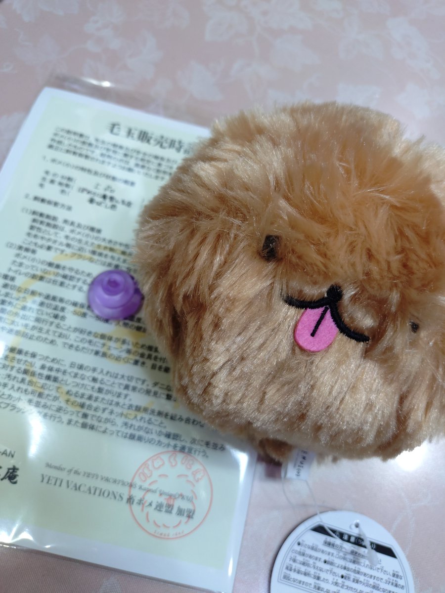 tmrykhs's tweet photo. 小ポメ届いた〜かわいい😭😭😭 https://t.co/ks4tZnAvlj
