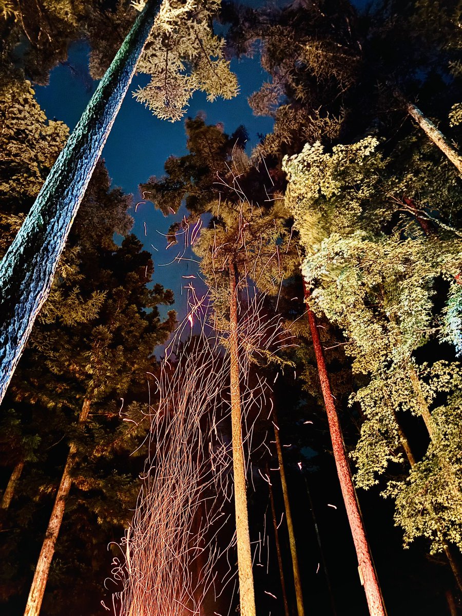 asuka__drums's tweet photo. 夏の思い出🏕️✨

人生初キャンプへ！🚌🗻

なんと800人規模の団体キャンプ！
自然に囲まれて、良いデジタルデトックスになりました🌲

個人的にバスマイクで喋れたのが嬉しすぎた〜！！！🎤ヒューゥ！( 🙌 ᐕ) https://t.co/DQab3bTtMk