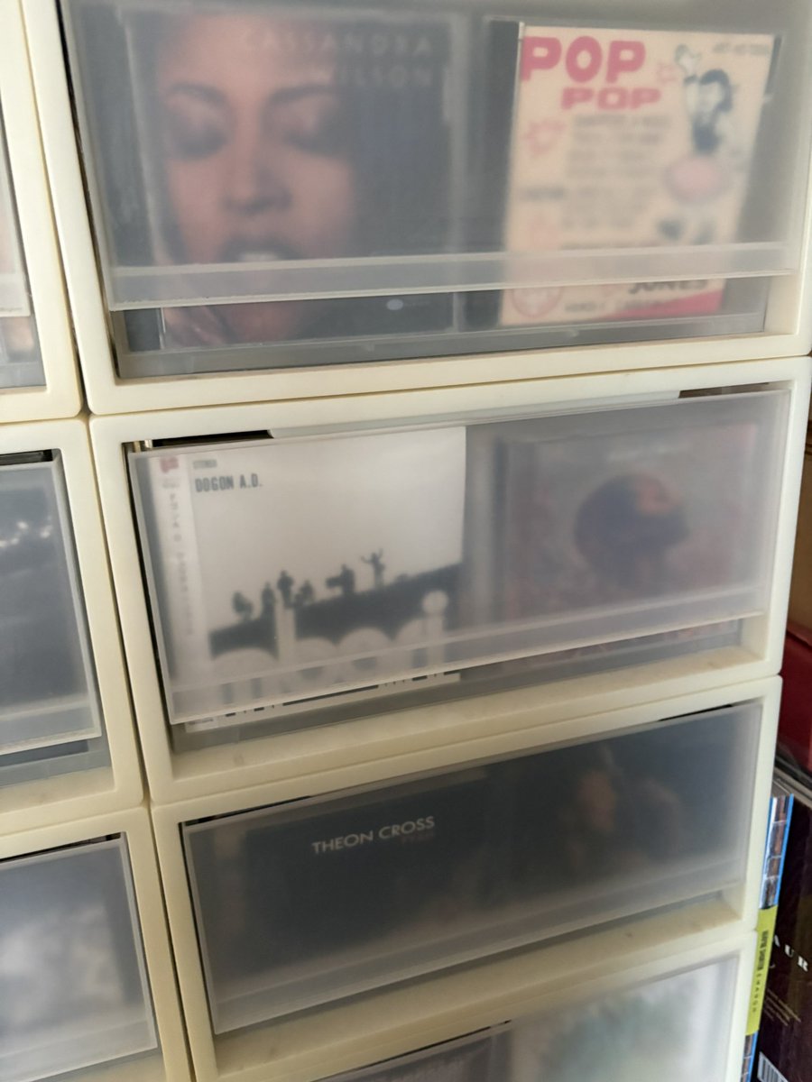 coseyroom's tweet photo. 我が家ではいつもこの二枚が並んでます。
#Cassandrawilson https://t.co/ecZd8A6QtB
