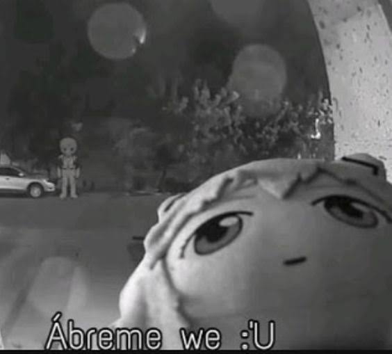 LPGamecube's tweet photo. @mig2019xd puta madre, deje las llaves adentro de la casa. alguien q me abra porfa :( https://t.co/prOL4uRJc8