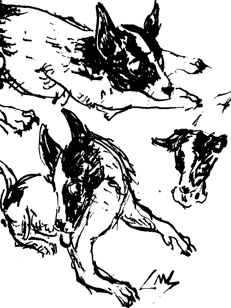 camthatyellow's tweet photo. My little cromi
#ink #traditionalart https://t.co/xYoOqni2ya