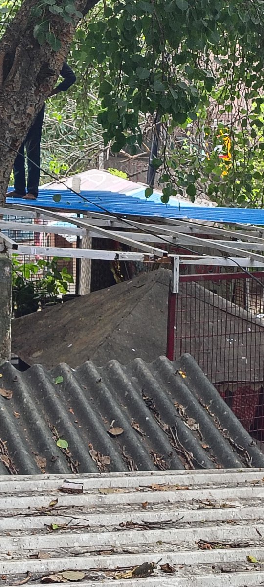 Adv_ManojSharma's tweet photo. @dwivedimk_ias no action taken till date. infact ppl are illegally encroachment the public property in BSNL colony kali bari marg in the name temple. they also constructed the house for himself. plz do needful. if it is possible for you. Stay blessed. With warm regards https://t.co/dTVu9p2c8U