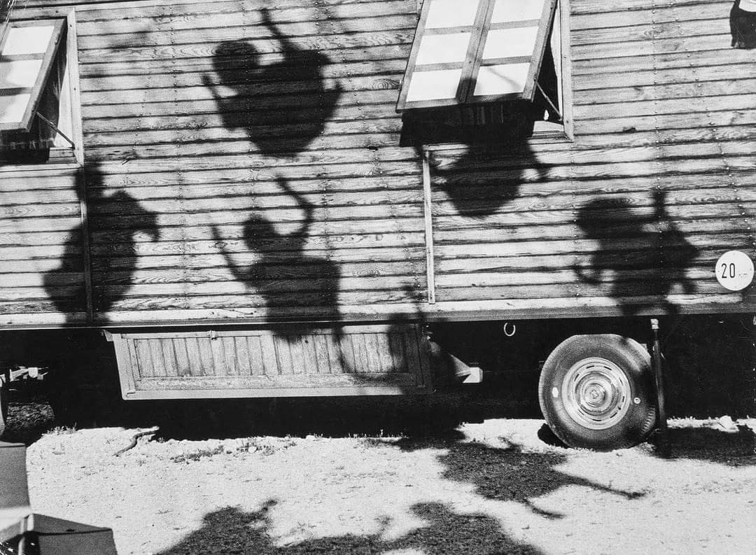 eyeonaxis's tweet photo. Shadows on the Swings, Munich, Germany, 1963, by Jon Naar https://t.co/oe4nHu9dnm