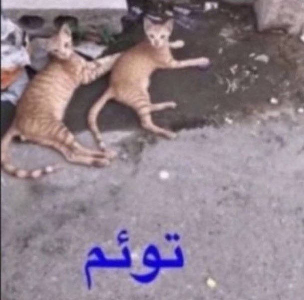 IMECIE's tweet photo. @lostinfno واييييي https://t.co/4SdoSe7rio