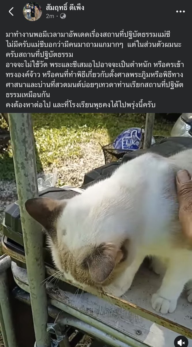 KhaohomSiri's tweet photo. ส่งกำลังใจให้พี่สัมฤทธิ์ ขอให้เจอน้องสีส้ม รอฟังข่าวดีทุกวันเลย 

#แมวหายบนรถไฟ #น้องสีส้ม https://t.co/NihC4qOzWo