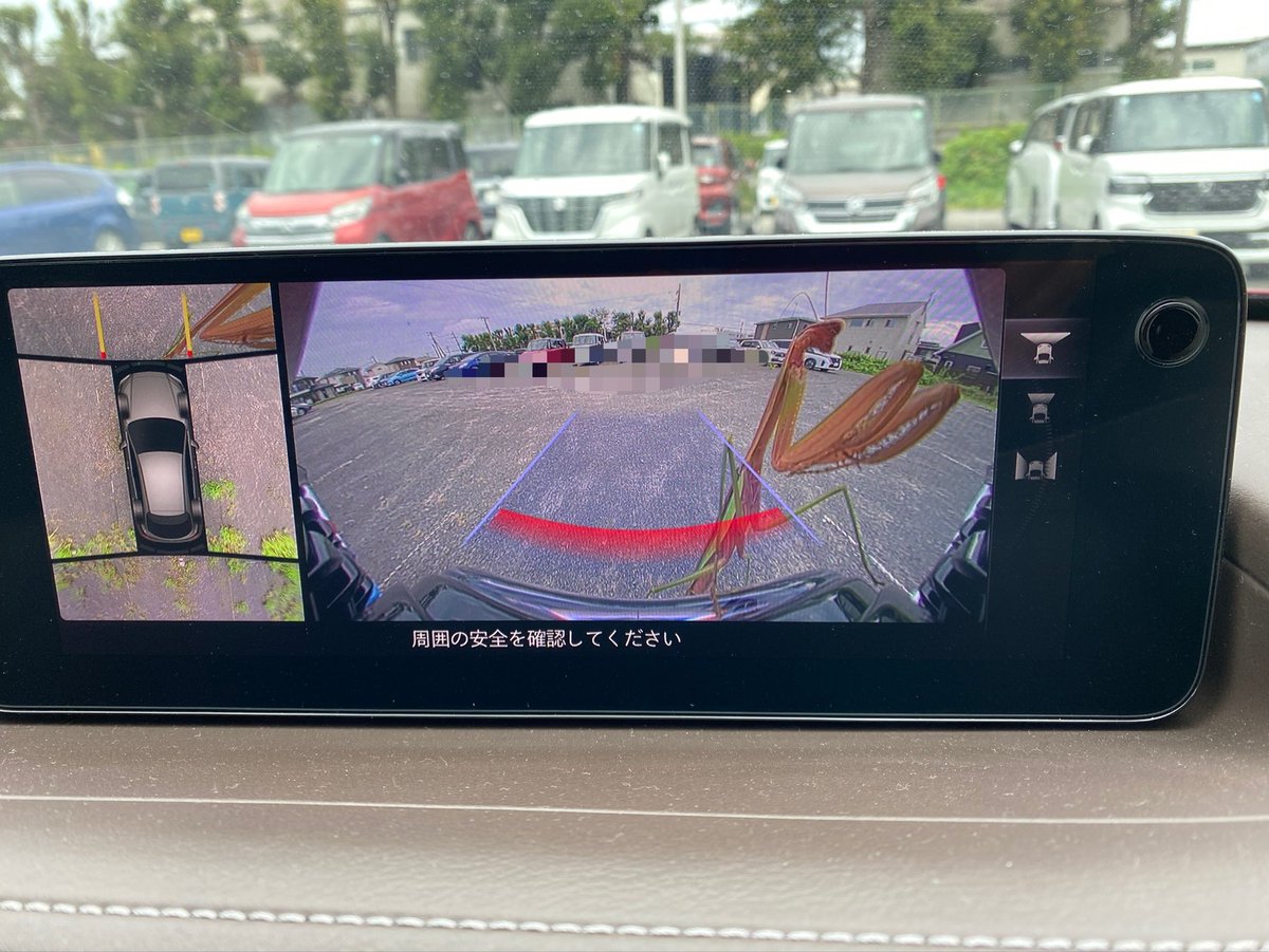 Marimo830's tweet photo. 今朝、会社の駐車場🅿️にて、Cちゃんのエンジンかけて駐車してたらモニターにカマキリが笑
一瞬びっくりした‼️ https://t.co/dbYoTwLSTe