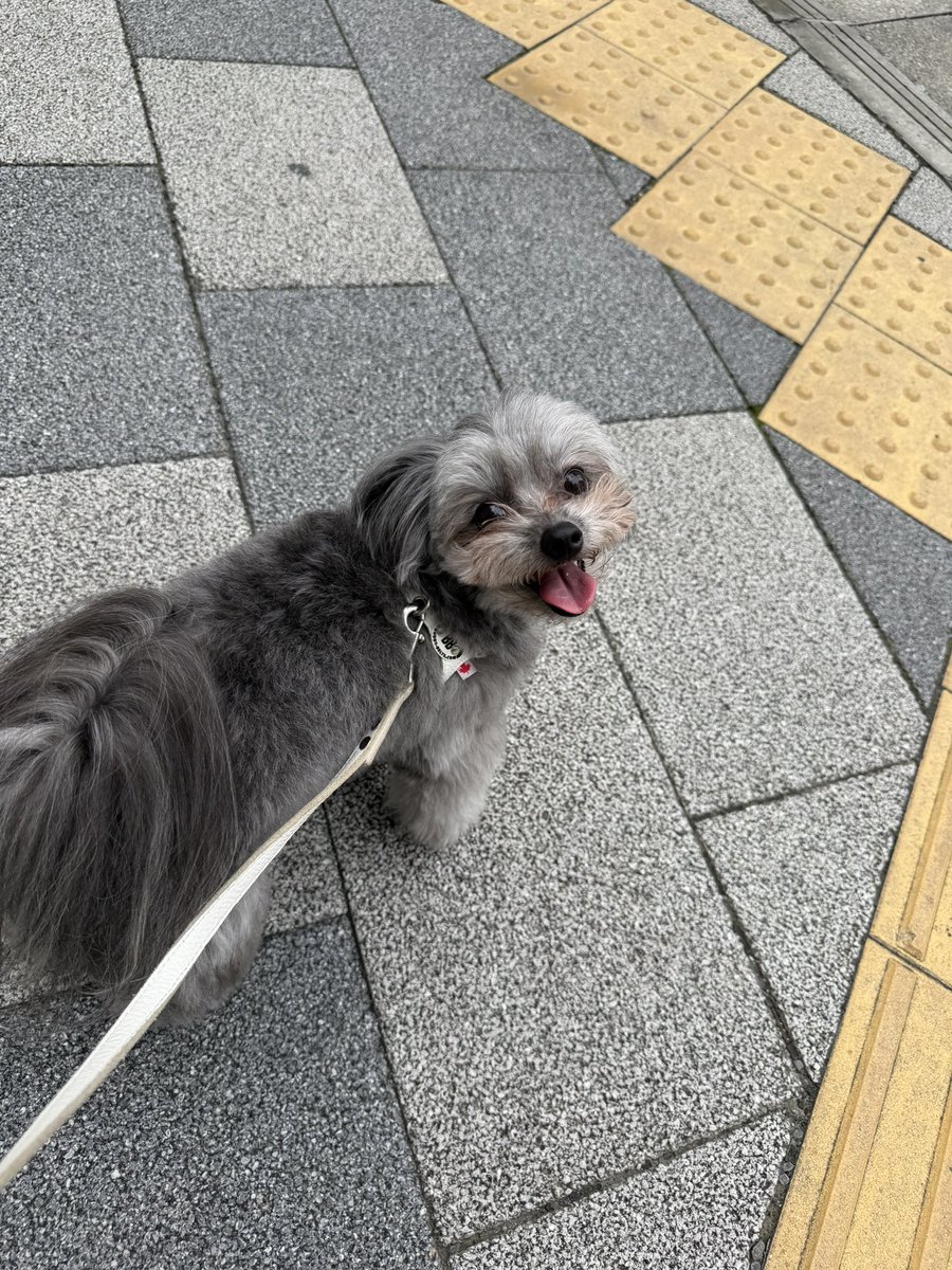 narumi___00's tweet photo. 18:45-TikTokライブしますぅー！！
みんな覗きにきてね🥰 https://t.co/m5A1haThmq