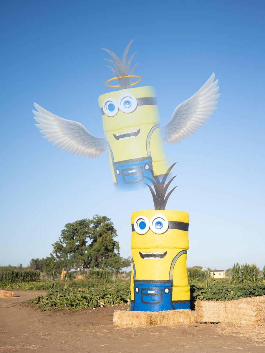 creepycrosser's tweet photo. my local pumpkin patch has minions on the side of the highway &amp; someone hit one with their car.. 

this was posted on Facebook today so I’m guessing it was bad https://t.co/uV3gugWbSI